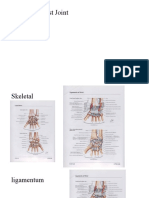 Anatomy Wrist Joint