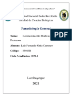 Reconocimiento Morfológico de Protozoos 