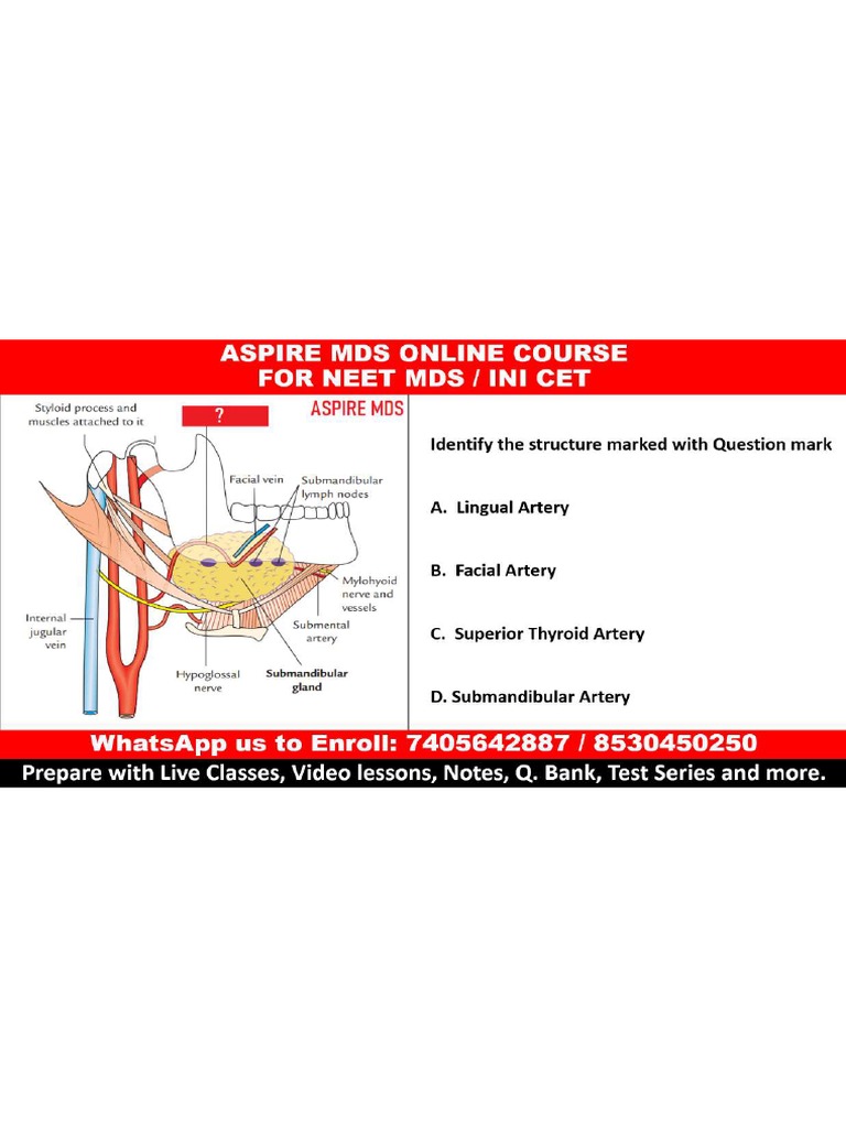Abcd 4 | PDF