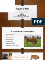 EQUUS FERUS - Biologia