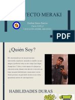 Proyecto Meraki Esteban Henao Barrios