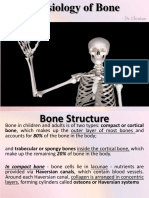 Bone Physiology 2