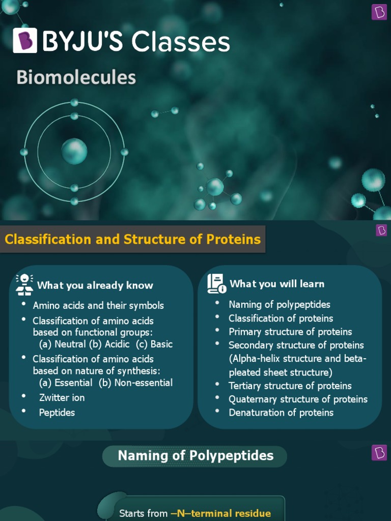Classifying Proteins PDF Proteins Denaturation (Biochemistry)