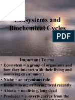 Ecosystems and Biochemical Cycles