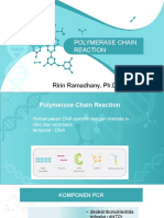 PCR Realtime