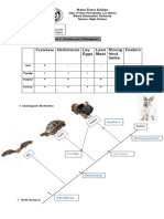 Cladogram