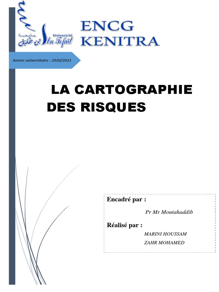 Cartographie des Risques : Guide Pratique | PDF | Risque | Contrôle interne