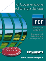 03 Cogenerazione Ed Energia Dal Gas