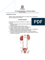 Apunte Sistema Urinario