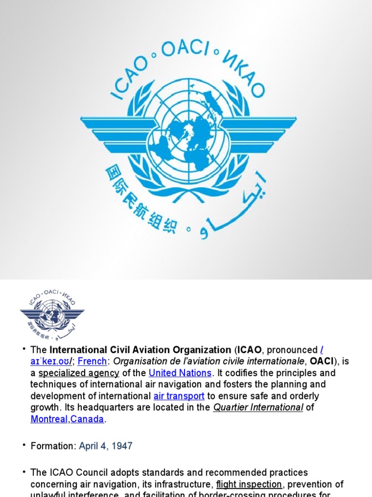 Icao Caap | PDF | International Relations | Government