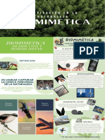 Biomimética One Pager