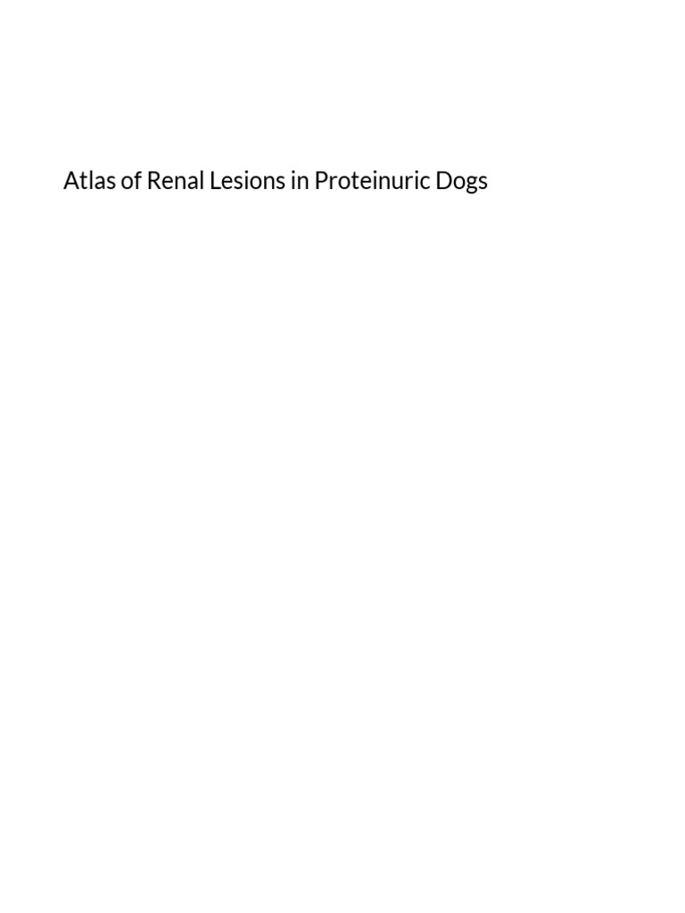 Atlas of Renal Lesions in Proteinuric Dogs 1572364976 | PDF | Pathology ...