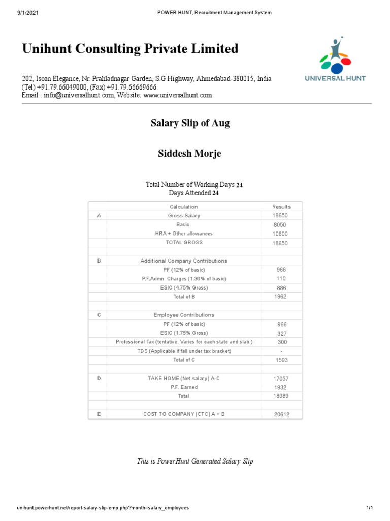 Unihunt Consulting Salary Slip Overview | PDF | Taxes | Government