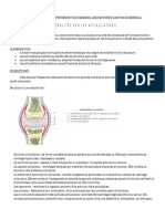 Generalites Sur Les Articulations