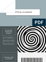 Optical Illusions-Donald Layton