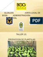 Taller 13. Produccion de Plantulas