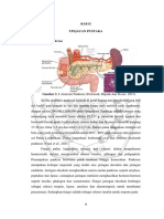 Farmakodinamik Insulin Long Acting