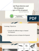 Animal Reproduction and Development: Stages of Development: Instructor: Ma. Christine E. Ibay