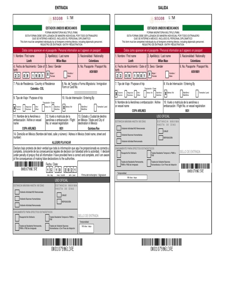 Instrucciones para la Forma Migratoria FMM | PDF | Visa de viaje ...