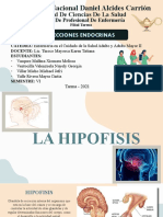 Afecciones endocrinas: La hipófisis y la tiroides