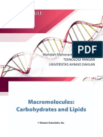 Macromolecule - Lipid