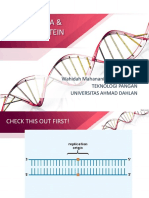 Replikasi DNA Dan Sintesis Protein (Gabungan)