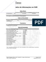 CAR - Demonstrativo (1)