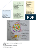 Parcial Aves