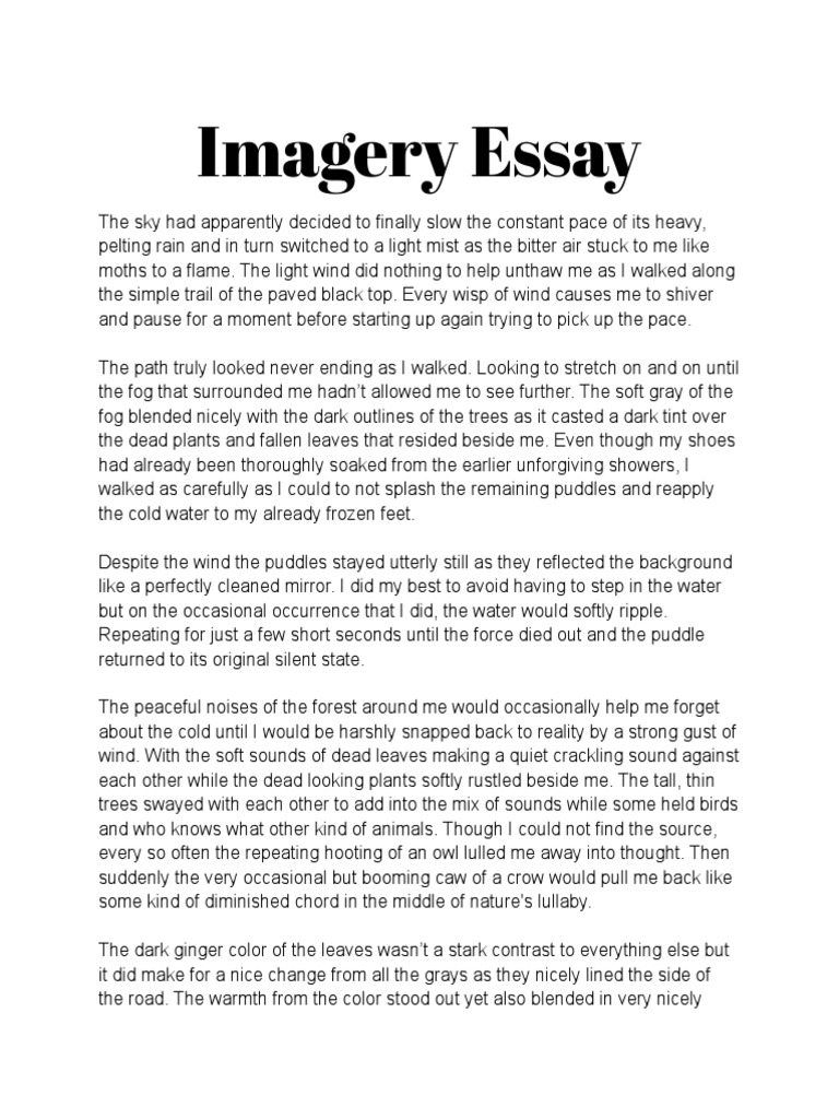 Imagery Essay | PDF