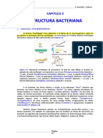 TEORIA 2. CAPITULO 2. MORFOLOGÍA Y ESTRUCTURA BACTERIANA