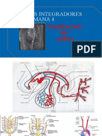 Coartacion de Aorta S4 2