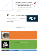 Practica Nº1 Características Físicas de Los Minerales