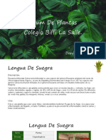 Álbum de Plantas