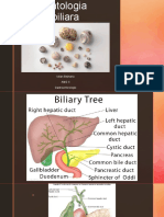 Patologia biliara