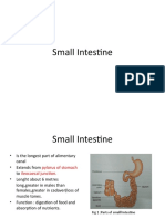 Functions and Anatomy of the Small Intestine