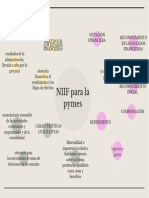 Mapa conceptual NIIF