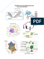 Modul 4 Pembelahan Sel (Rangkuman) - 1