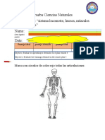 Anexo Prueba Ciencias Plan Remoto 4