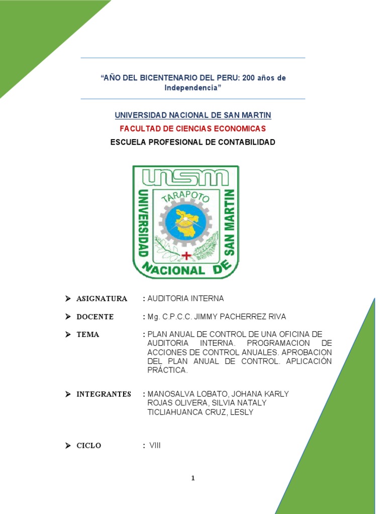 Plan Anual de Auditoría Interna 2025 | PDF | Auditoría | Planificación