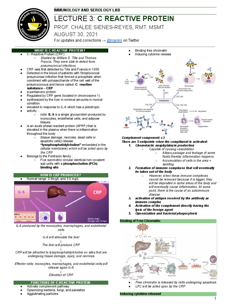 Understanding C-Reactive Protein Levels | PDF | C Reactive Protein ...
