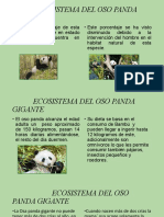 Ecosistema Del Oso Panda Gigante