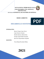 Ensayo Argumentativo Imryd Sobre Desarrollo Sostenible