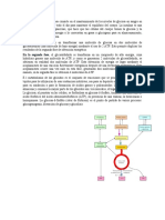 La Homeostasis de La Glucosa