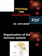 Physiology CNS: Sensory System