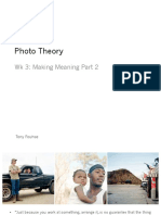 Photo Theory: WK 3: Making Meaning Part 2
