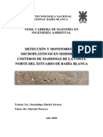 Tesis Maestría Ing. Ambiental Alvarez Guadalupe M. 2020