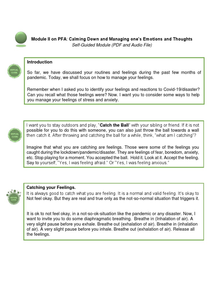 Manage Emotions: Catch, Check, Change | PDF | Feeling | Anxiety