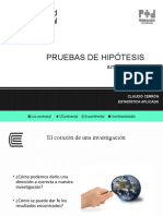 Hipótesis Introducción