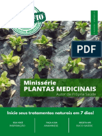 Revista 2 - Minissérie 10-21