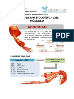 Bioquimica de La Musculacion